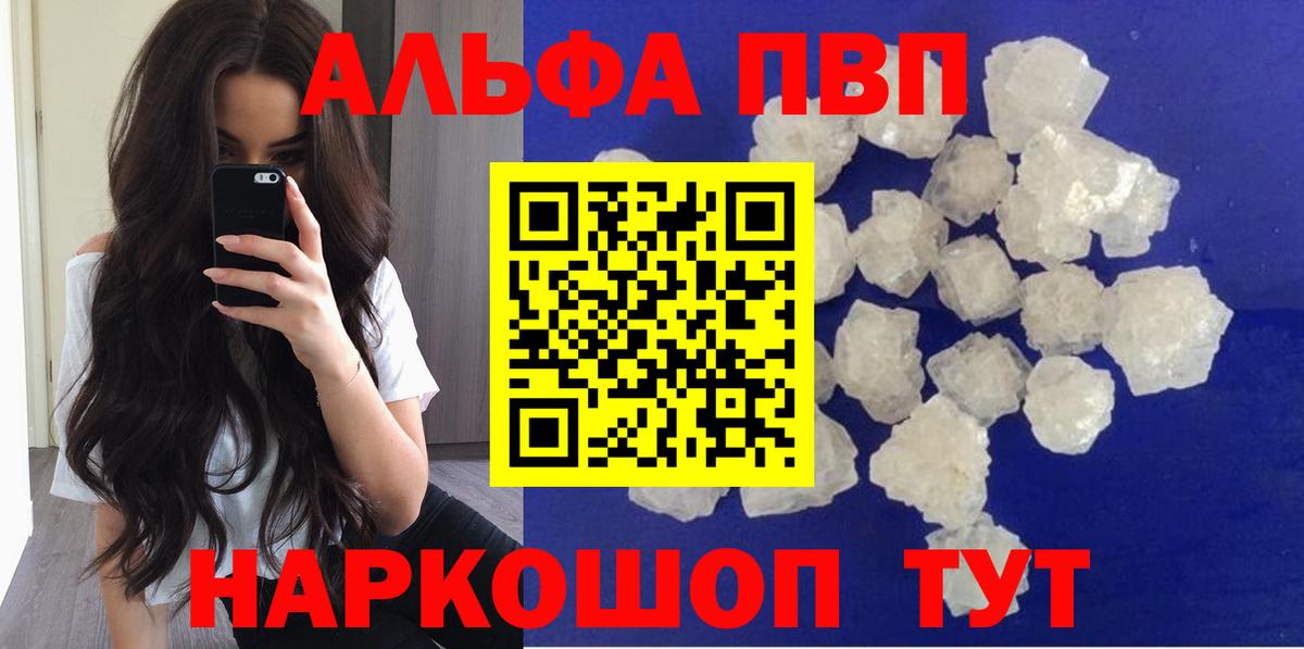 A PVP СК КРИС Горно-Алтайск