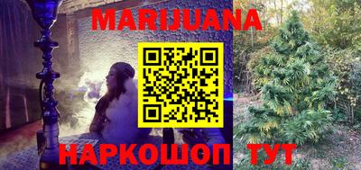 гидра Будённовск