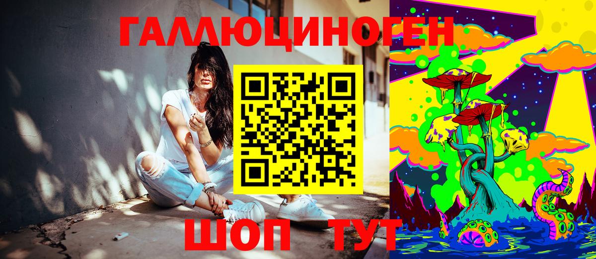 Псилоцибиновые грибы Cubensis  Галлюциногенные грибы Cubensis  Горно-Алтайск 