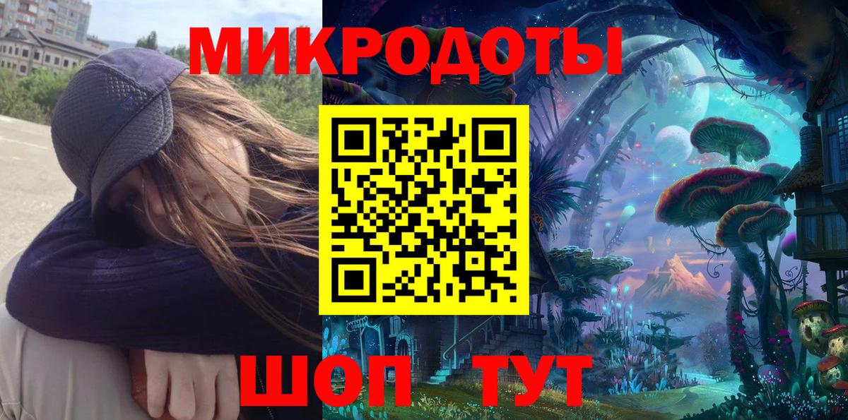 Псилоцибиновые грибы Psilocybe Горно-Алтайск