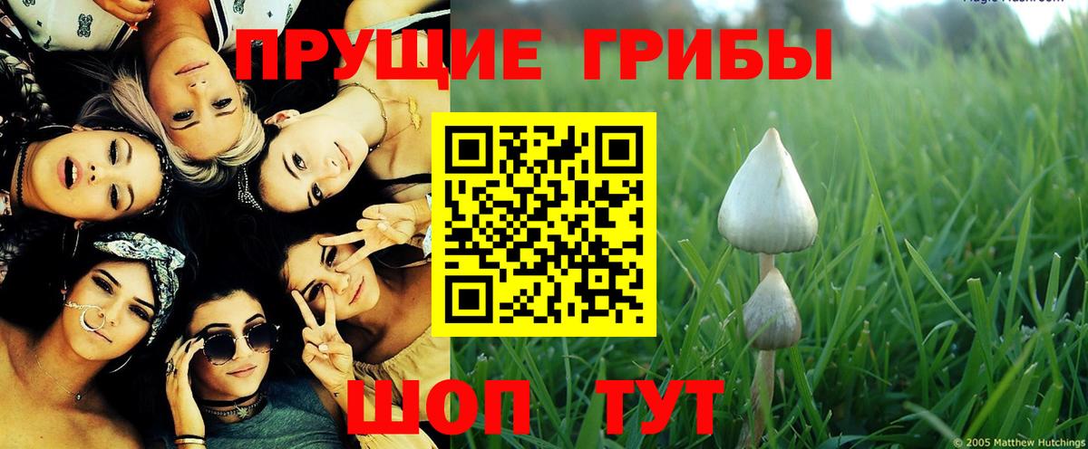 Галлюциногенные грибы ЛСД Горно-Алтайск