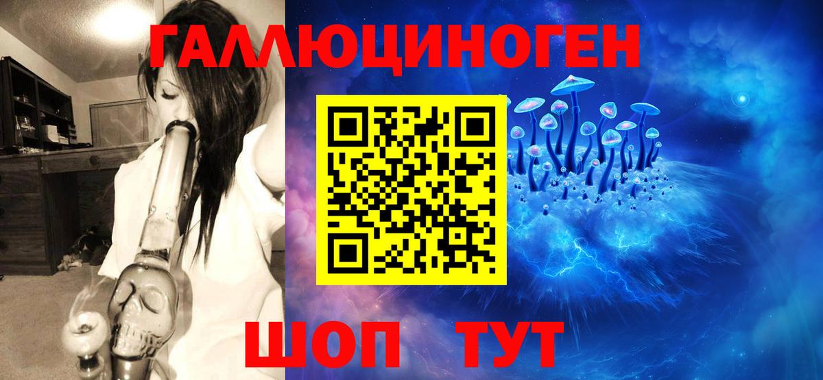 Горно-Алтайск  Галлюциногенные грибы Magic Shrooms  что такое наркотик  Вход с VPN  Галлюциногенные грибы MAGIC MUSHROOMS 